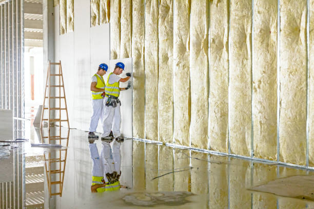 Trusted LA Insulation Contractor Experts